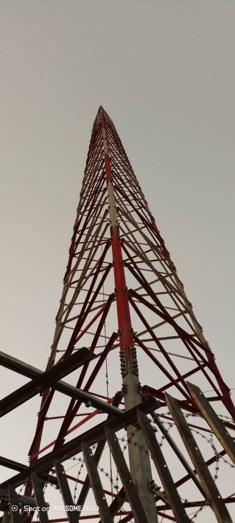 Red-and-white lattice telecommunications tower photographed from below over an overgrown site